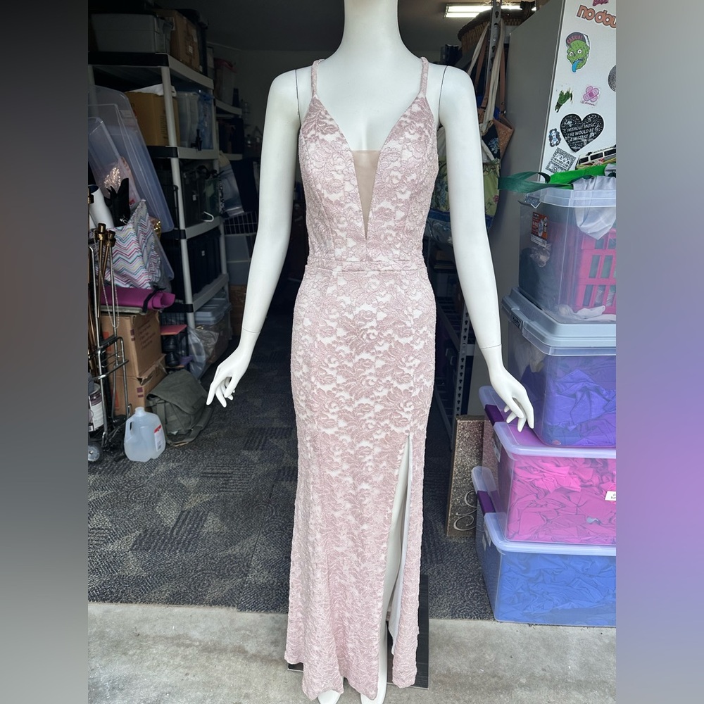 Cachet Blush Lace Evening Gown